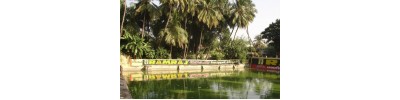 திருநாகேஸ்வரம் 